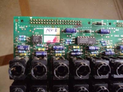 DSC07720 [800x600].jpg