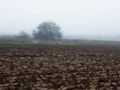 campo-arado-y-niebla-web.jpg