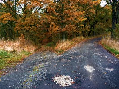 CZ - DERECHA E IZQUIERDA - LAS DOS OPCIONES IGUAL DE MALAS.jpg