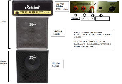 ampli bajo markel.png