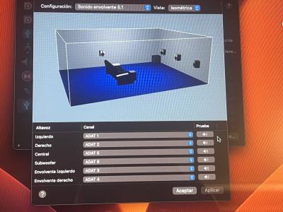 Canales de salida DigiFace USB.jpg