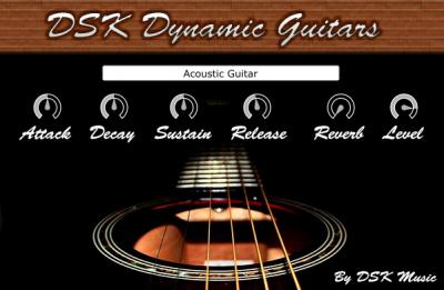 dsk_dynamic_guitars.jpg