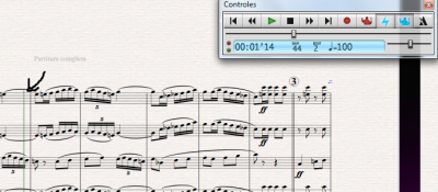 linea verde reproduccion.png