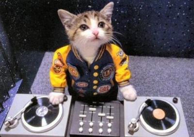funny-dj-03.jpg