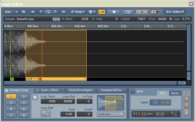 Loop editor.PNG