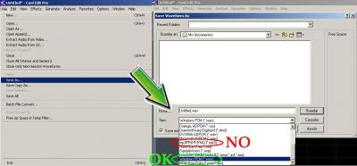 wav en cool edit pro.JPG