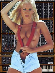 Moog-Modular-2-lg.jpg