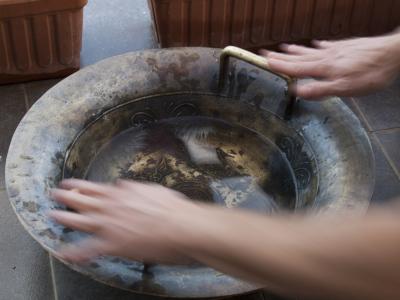 barreño vibrando.jpg