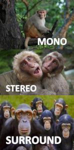 descripsion mono stereo.jpg