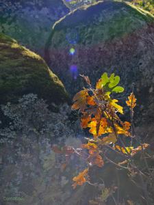 rocas de nomos peq.jpg