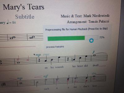 WhatsApp Image 2019-05-16 at 18.40.14.jpeg