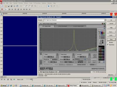 Procesado corregido.JPG