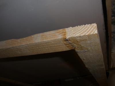 construcció estudi 219.jpg