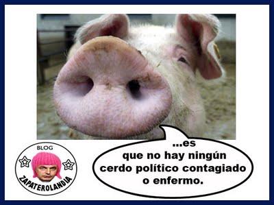 Cerdo gripe A_02.jpg