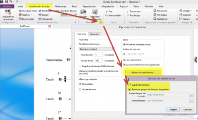 Sibelius FlexiTime subdivision.png