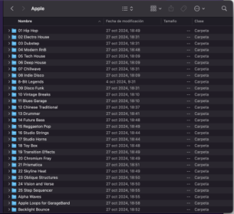 Captura de Pantalla 2024-11-03 a las 11.08.30.png