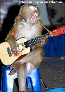 el canto del mono.jpg