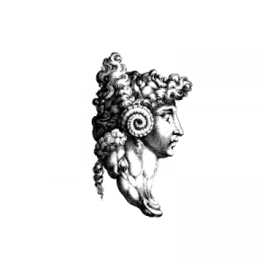 rojo minimalismo logo.png