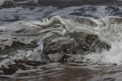 IMG_0951 (Large).JPG