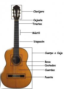 partes de la guitarra2.jpg