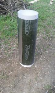 WhatsApp Image 2017-03-12 at 1.54.17 PM.jpeg