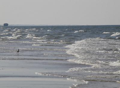 al fondo San Lucar.JPG
