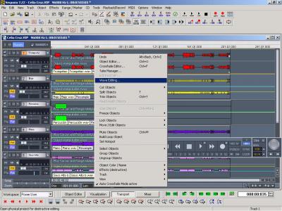 Sequoia Wave Editing.JPG