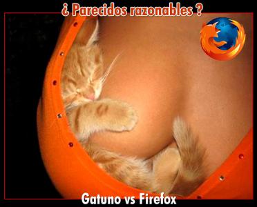 firefox.jpg