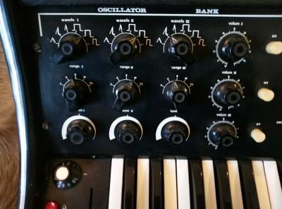 photo_2024-01-31 10.37.49.jpeg