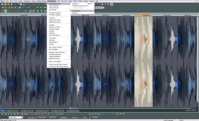 Samplitude-Wave Editor.jpg