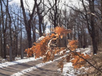 Miraflores677 peq.jpg