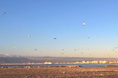 WP_20151130_08_52_47_Pro (2).jpg