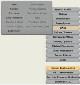 Notion instrumentos de serie.jpg
