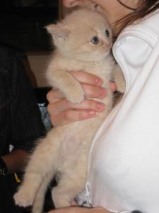 Tilín pequeñito.JPG