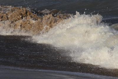 IMG_0779 (Large).JPG