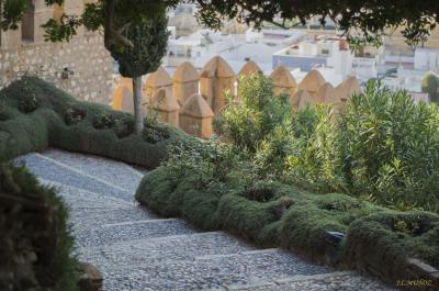 Alcazaba6.jpg