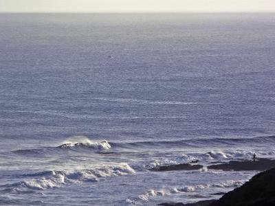 Ancho mar-mdflow 1600.jpg