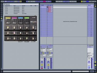 gravedad midi copia.jpg