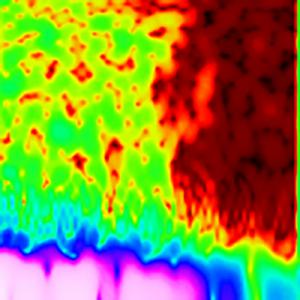 violin b realtek zoom1.jpg