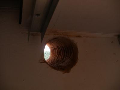 construcció estudi (1).jpg