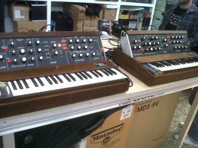 moog2.jpg