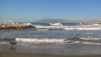 WP_20160220_11_17_46_Pro (2).jpg