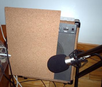Mic1.jpg