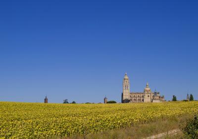 Segovia girasoles.jpg