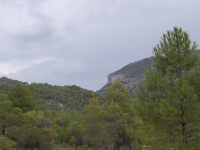 pasó la tormenta peq..jpg