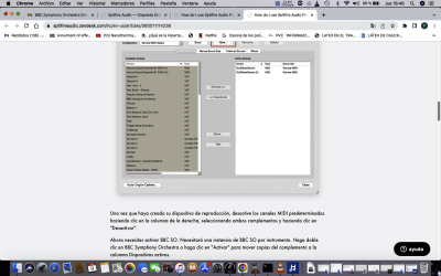 DESACTIVACIO?N DE LOS CANALES MIDI.png