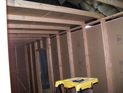 estructura techo.jpg