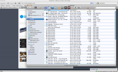 Screen shot 2011-03-03 at 9.08.59 PM.png