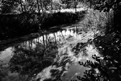 P1220468 080512_bn.jpg