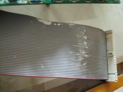 DSC07722 [800x600].jpg